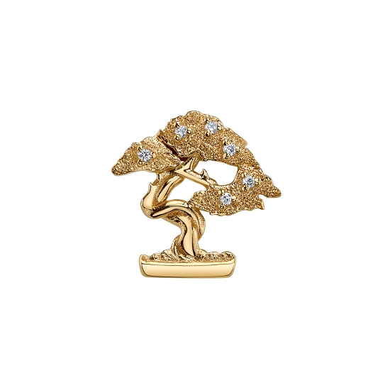BONSAI TREE