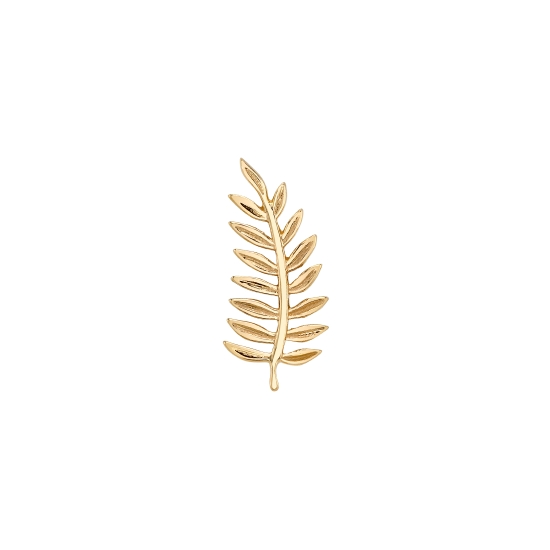 MINI FERN