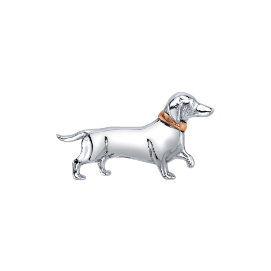 DACHSHUND