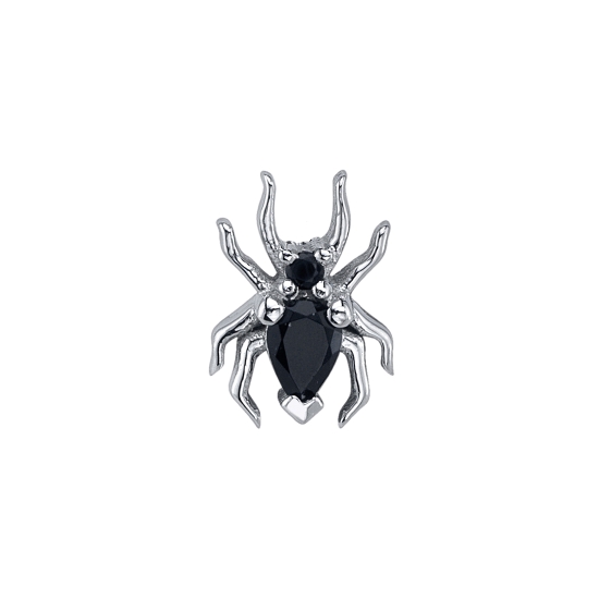 SABRINA SPIDER