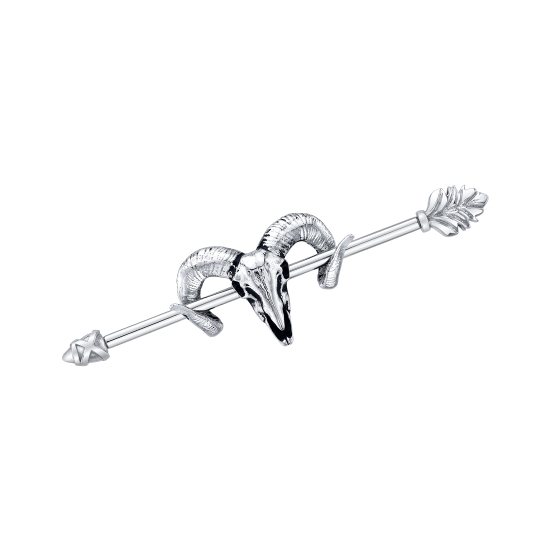 WARRIOR'S ARROW
