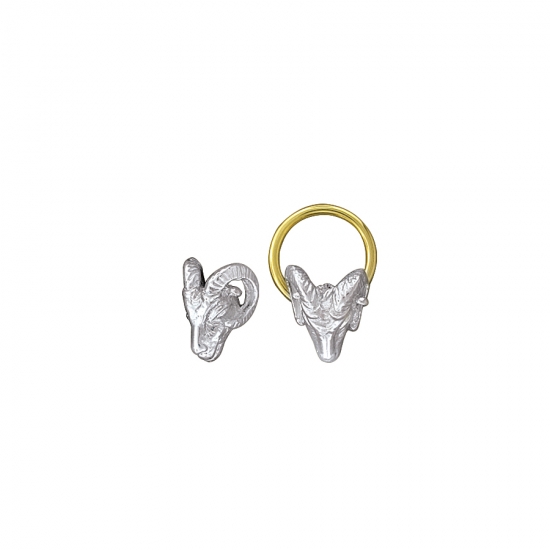 Ram Ring
