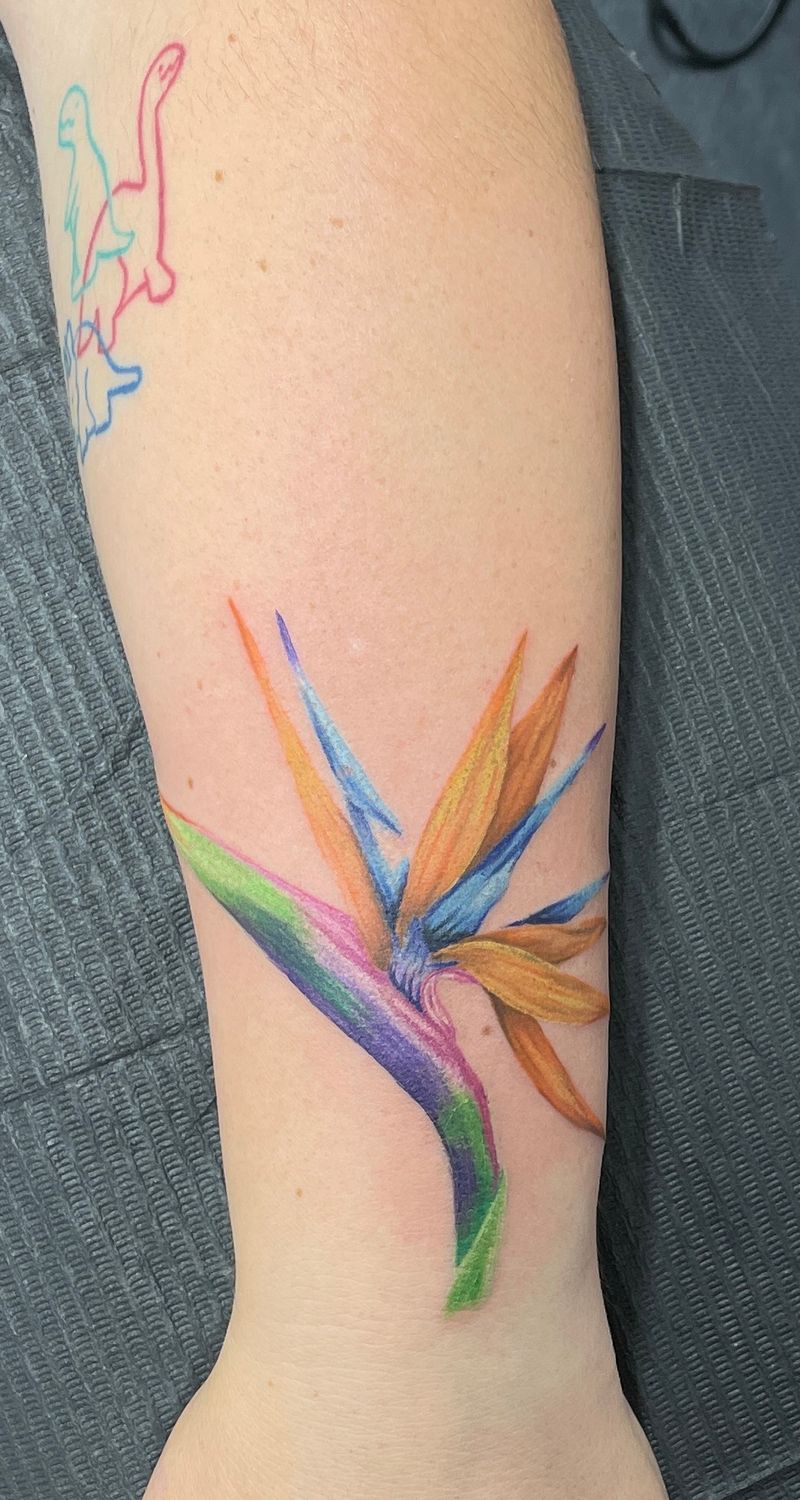 Color Realism