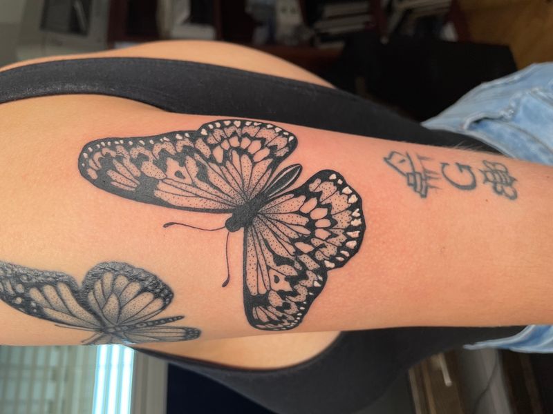 Ornamental — Apollo Studio Los Angeles