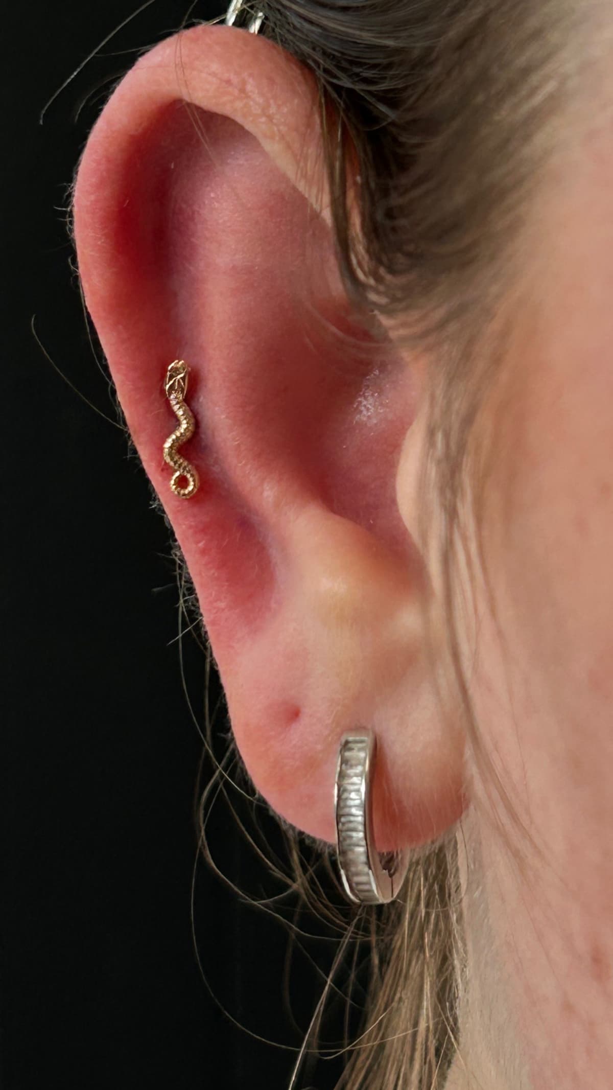 Gold snake cartilage stud piercing with silver CZ huggie lobe hoop at Apollo Tattoo and Piercing