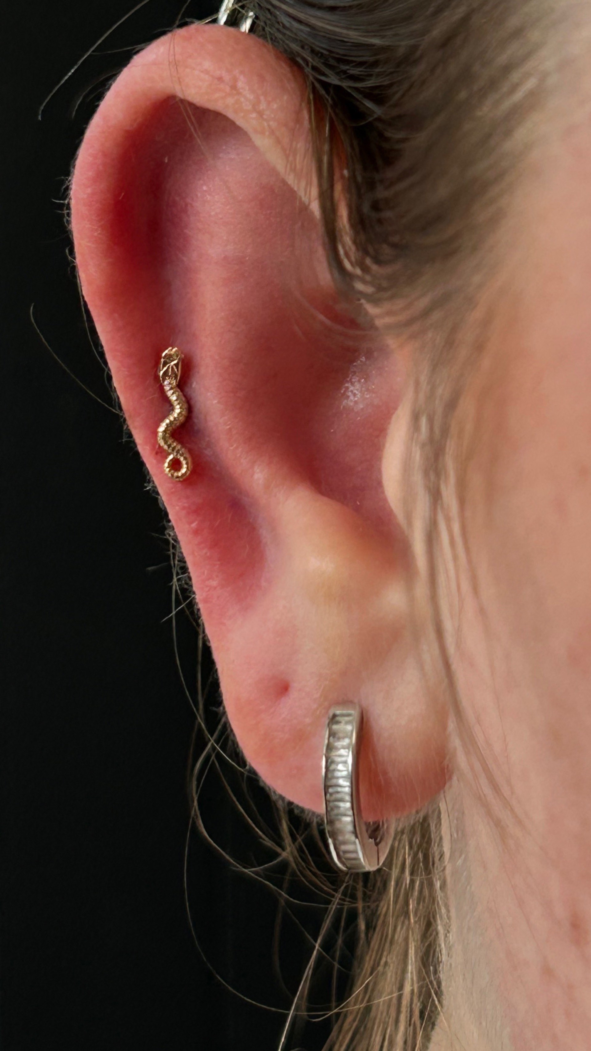 Gold snake cartilage stud piercing with silver CZ huggie lobe hoop at Apollo Tattoo and Piercing