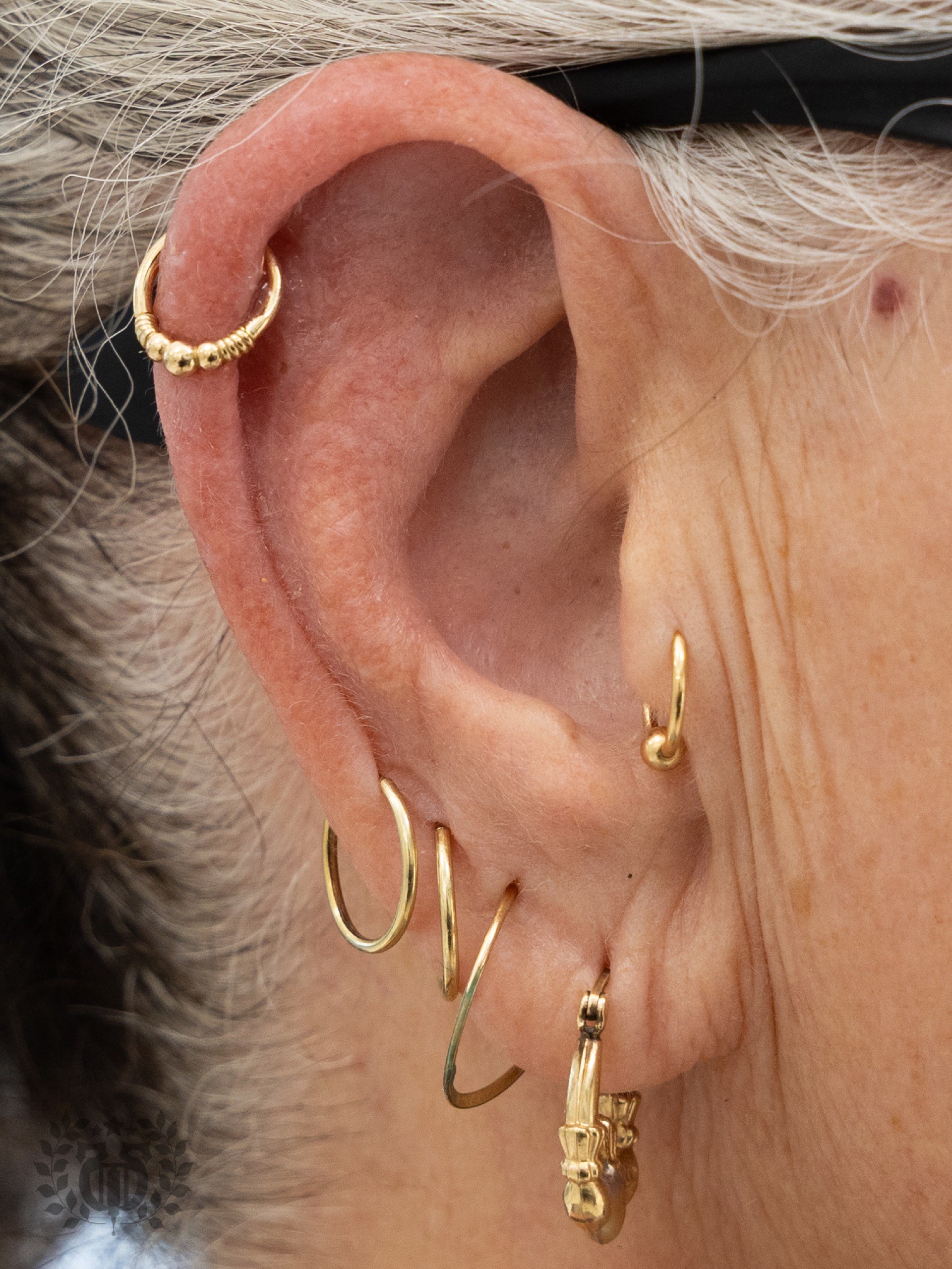 Gold bead-wrapped cartilage hoop with multiple gold lobe hoops at Apollo Studio Los Angeles