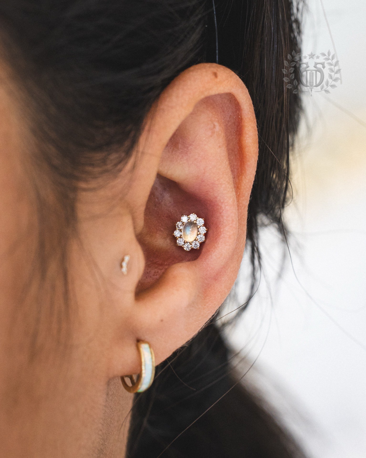 Conch piercing at Apollo Studio Los Angeles