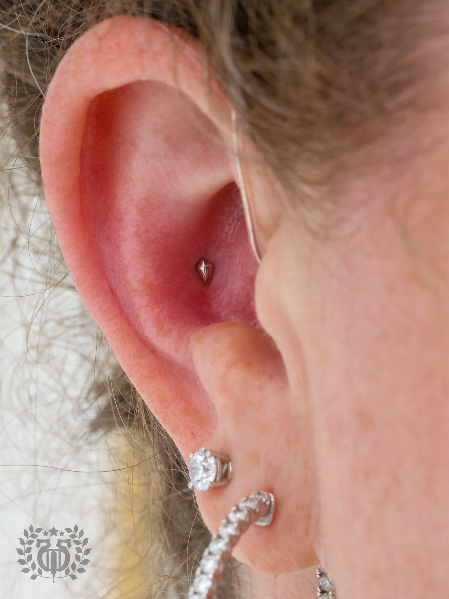 Conch piercing at Apollo Studio Los Angeles