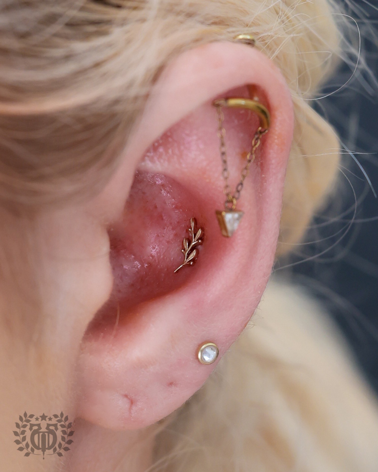 Conch piercing at Apollo Studio Los Angeles