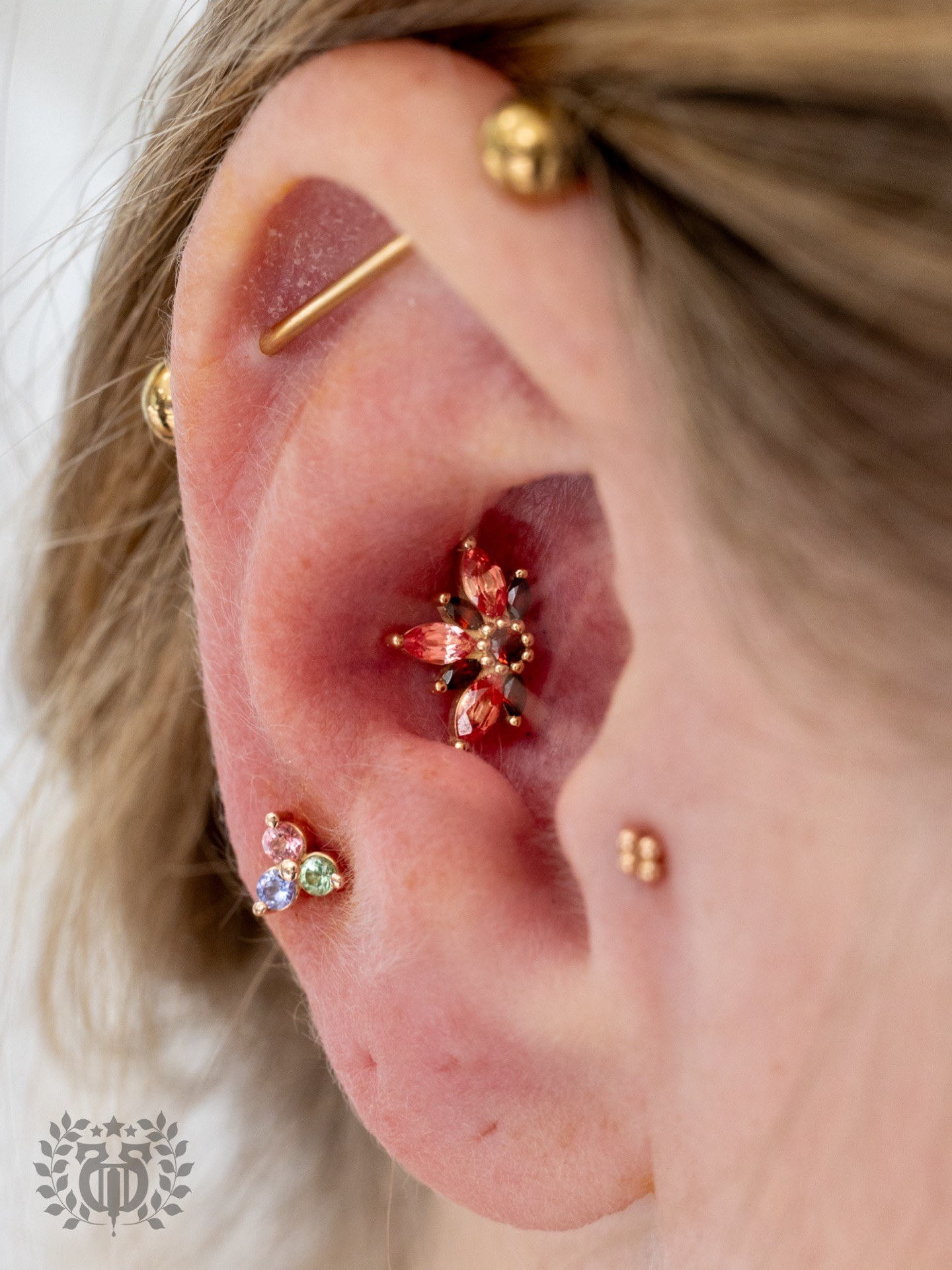 Conch piercing at Apollo Studio Santa Monica