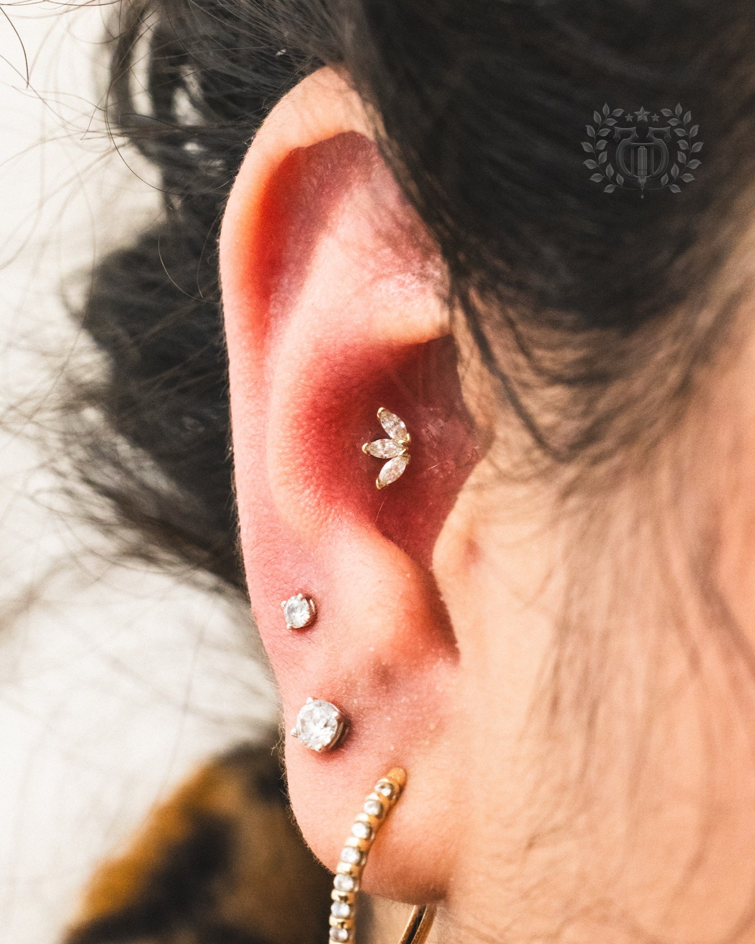 Conch piercing at Apollo Studio Los Angeles