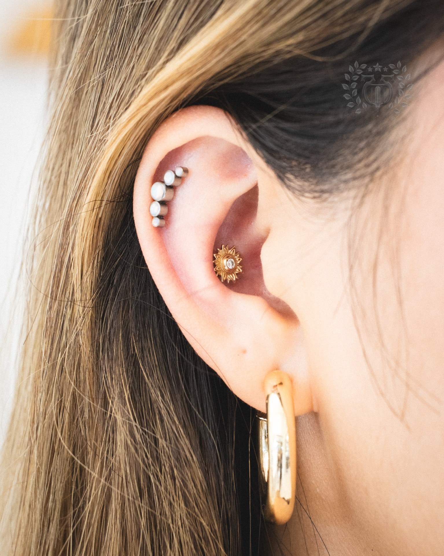 Conch piercing at Apollo Studio Los Angeles
