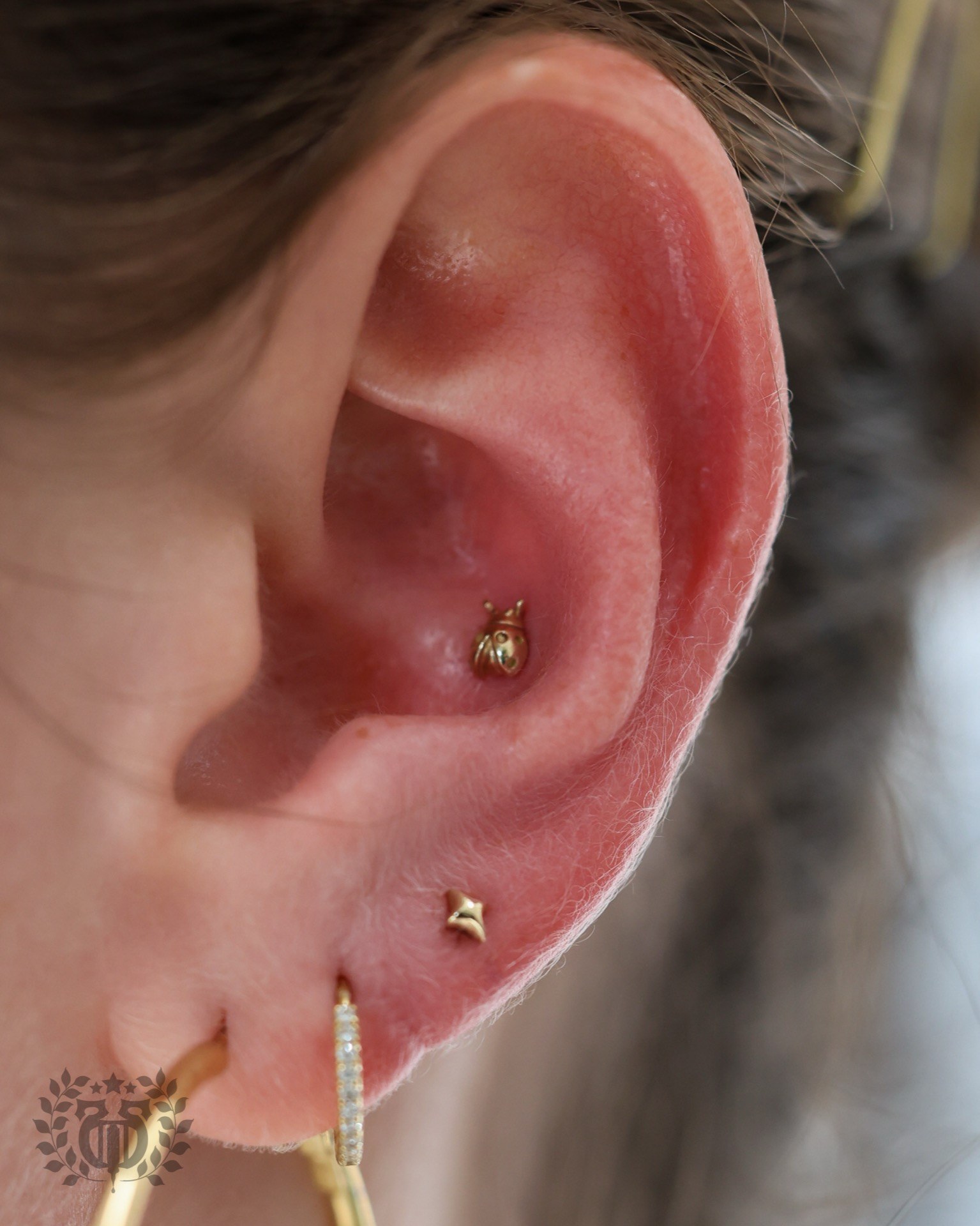 Conch piercing at Apollo Studio Los Angeles
