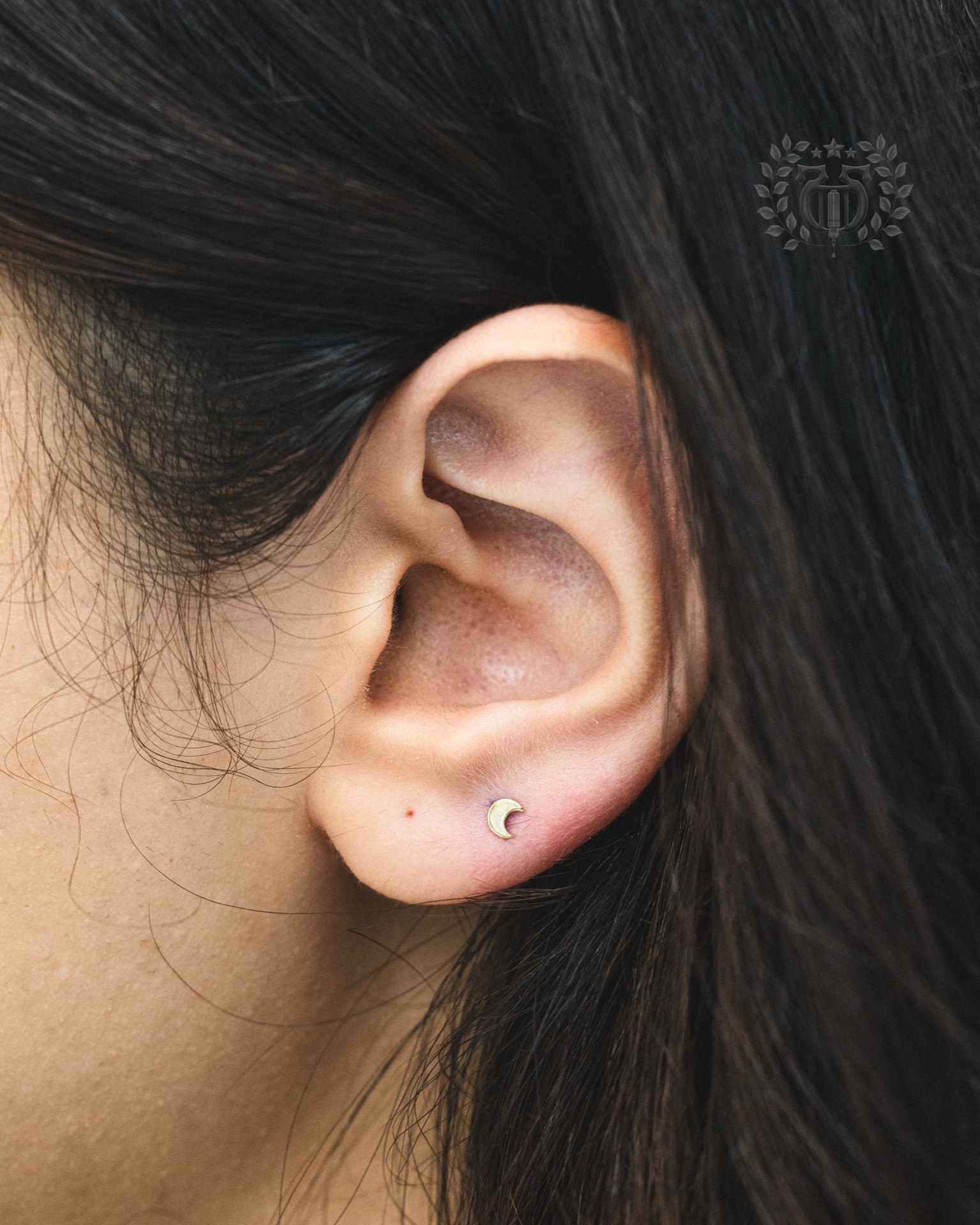 Lobe and cartilage ear piercing curation at Apollo Studio Los Angeles