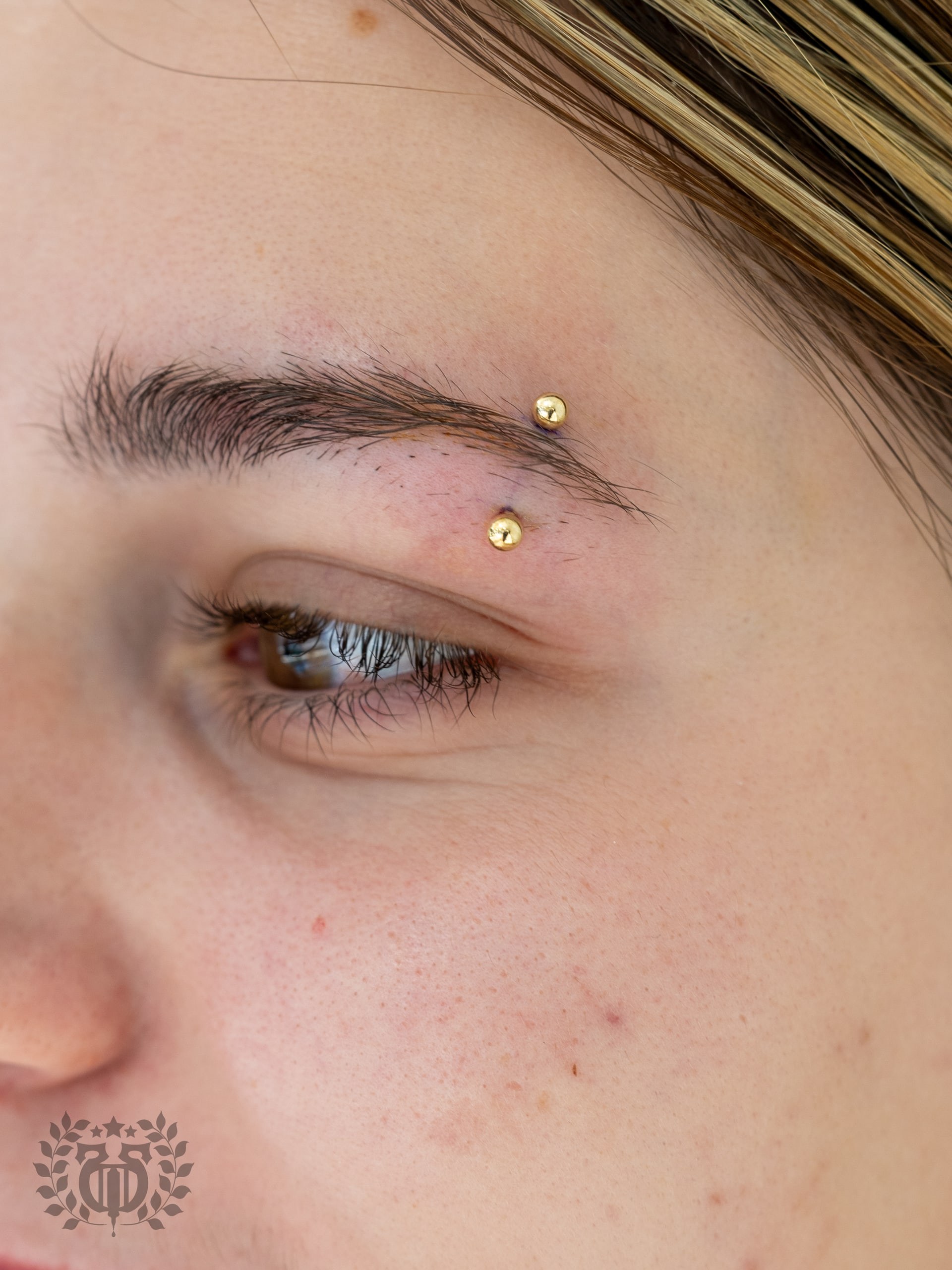 Double eyebrow piercings with curved barbells and septum ring at Apollo LA