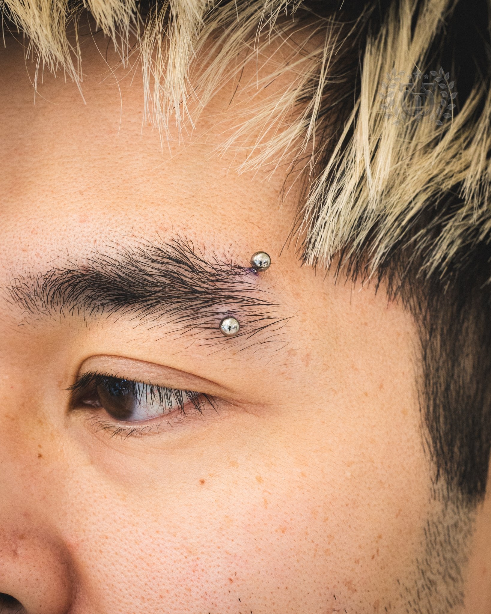 Gold curved barbell eyebrow piercing macro close-up at Apollo Studio