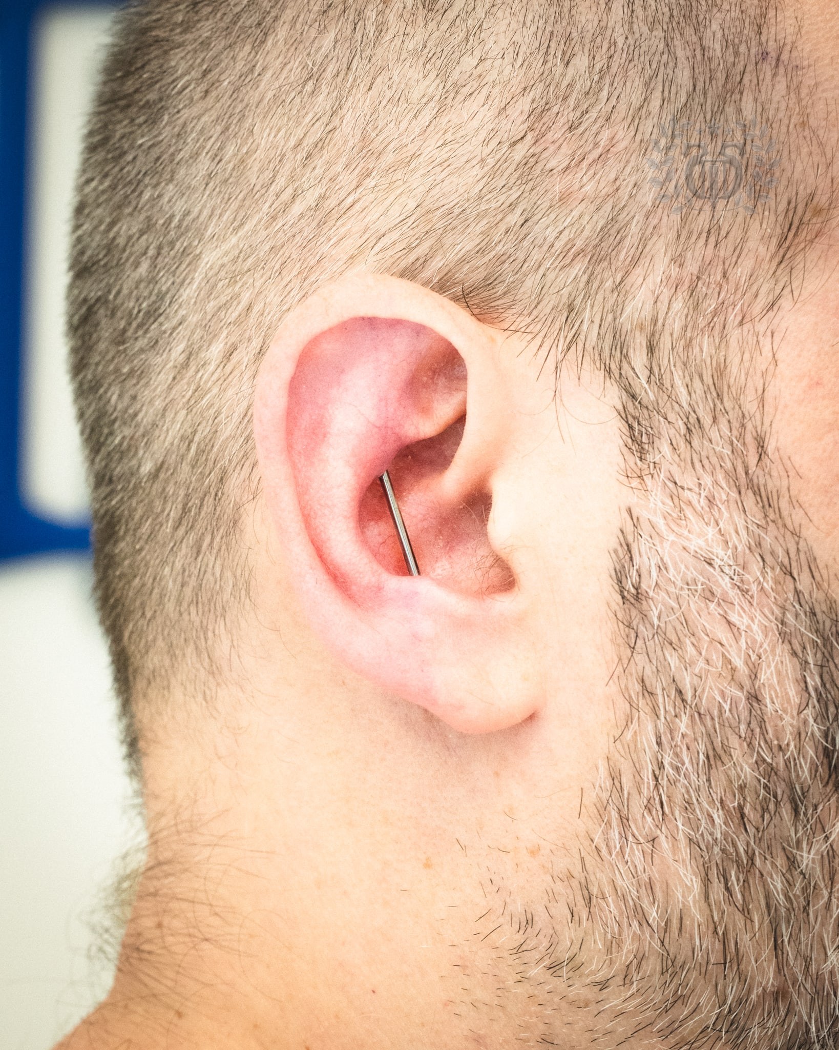 Industrial piercing at Apollo Studio Los Angeles