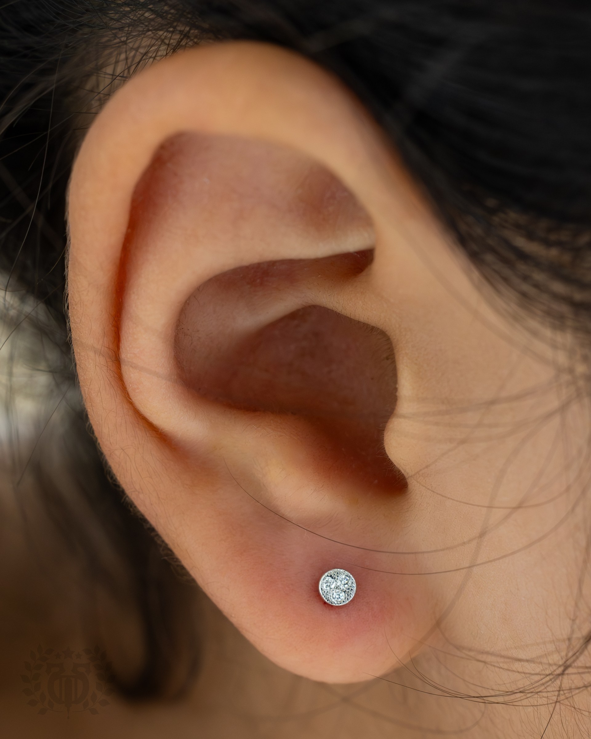 Lobe Pair (Both Ears)