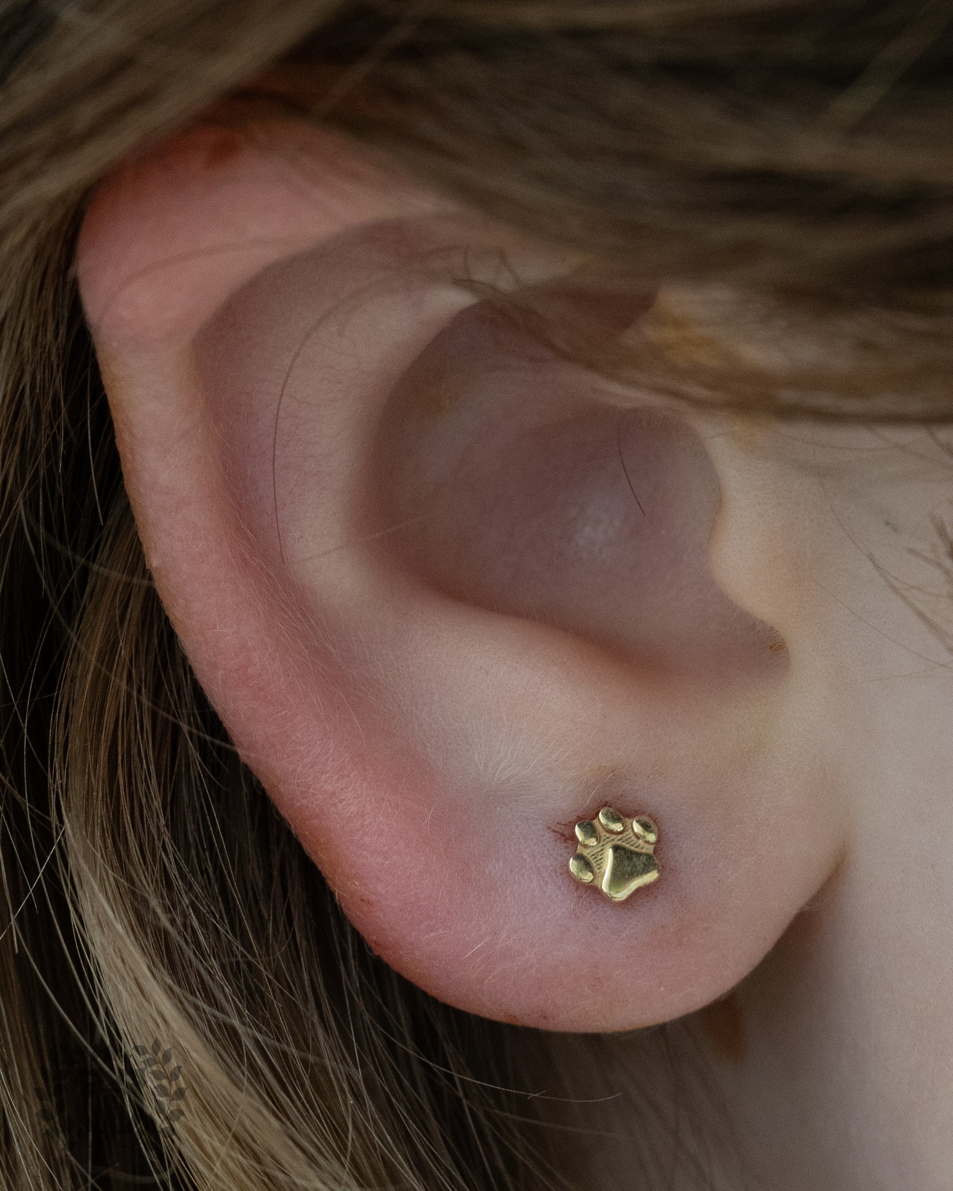 Kids ear piercing at Apollo Studio Los Angeles
