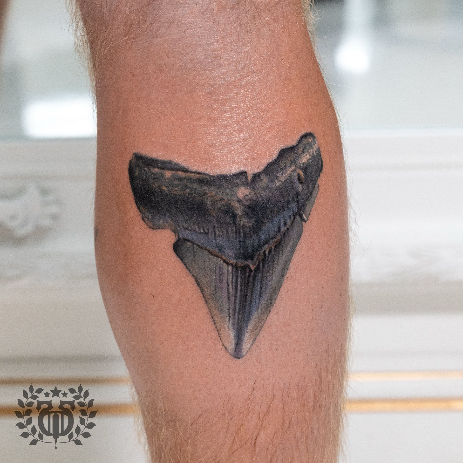 Black and grey realistic shark tooth realism tattoo at Apollo Studio Los Angeles