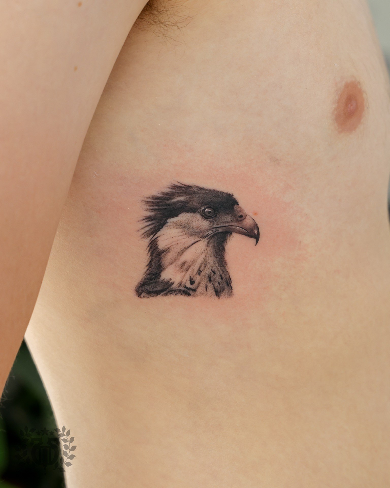 Black and grey realistic bird of prey head realism tattoo at Apollo Studio Los Angeles