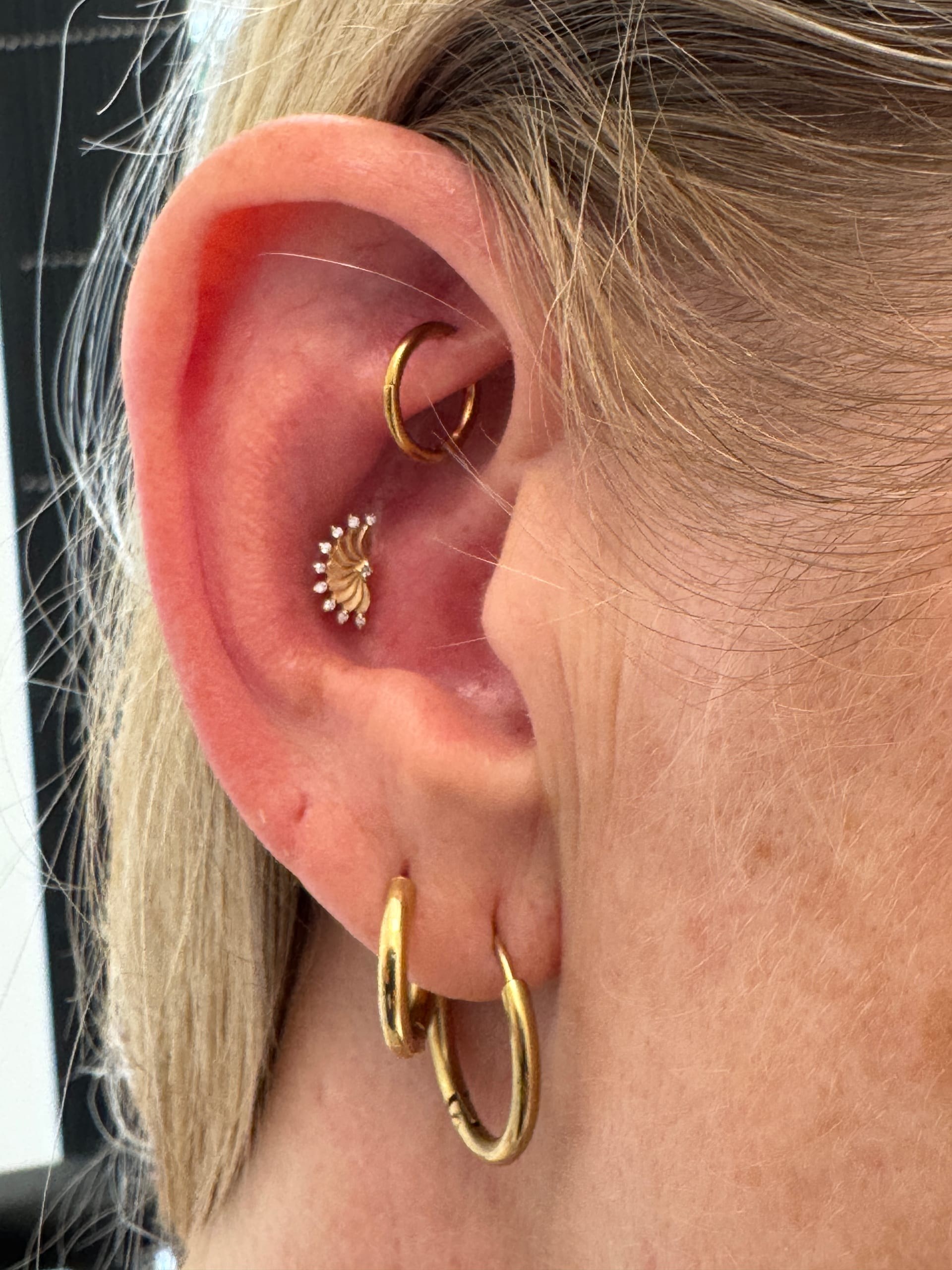Rook piercing at Apollo Studio Los Angeles