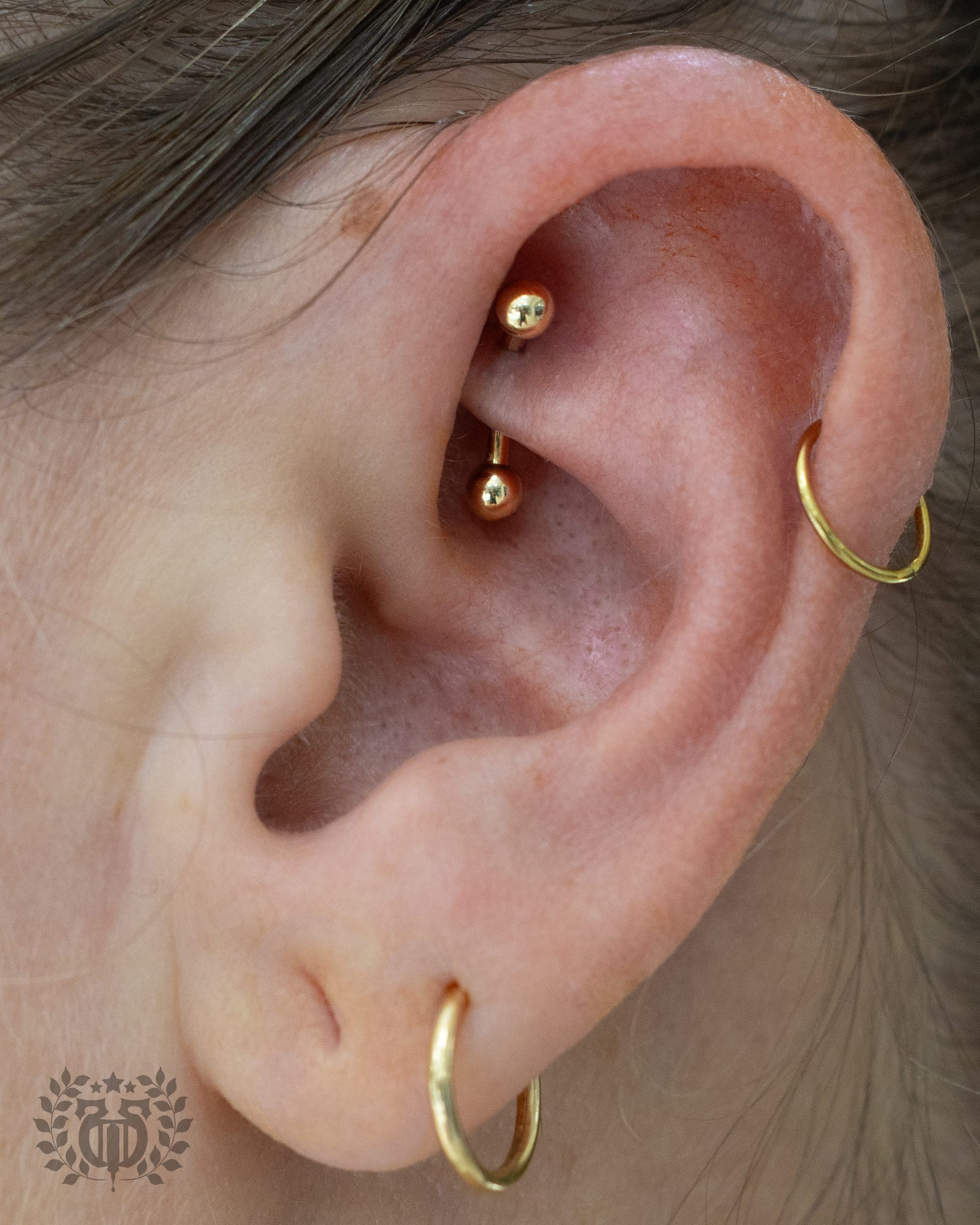Rook piercing at Apollo Studio Santa Monica