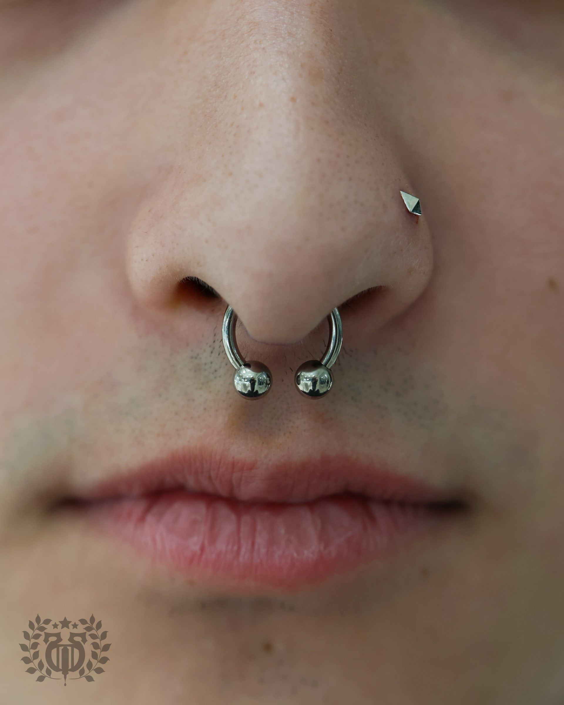 Septum piercing at Apollo Studio Los Angeles