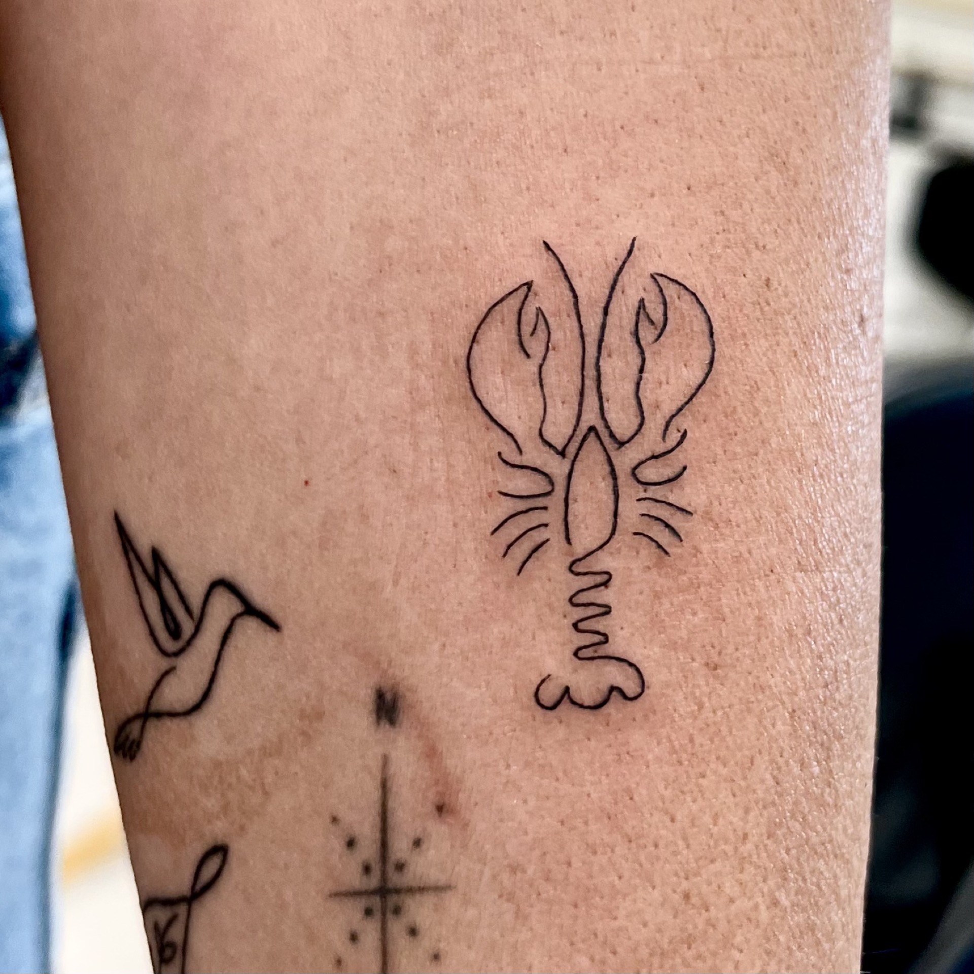 Single needle lobster micro detail tattoo