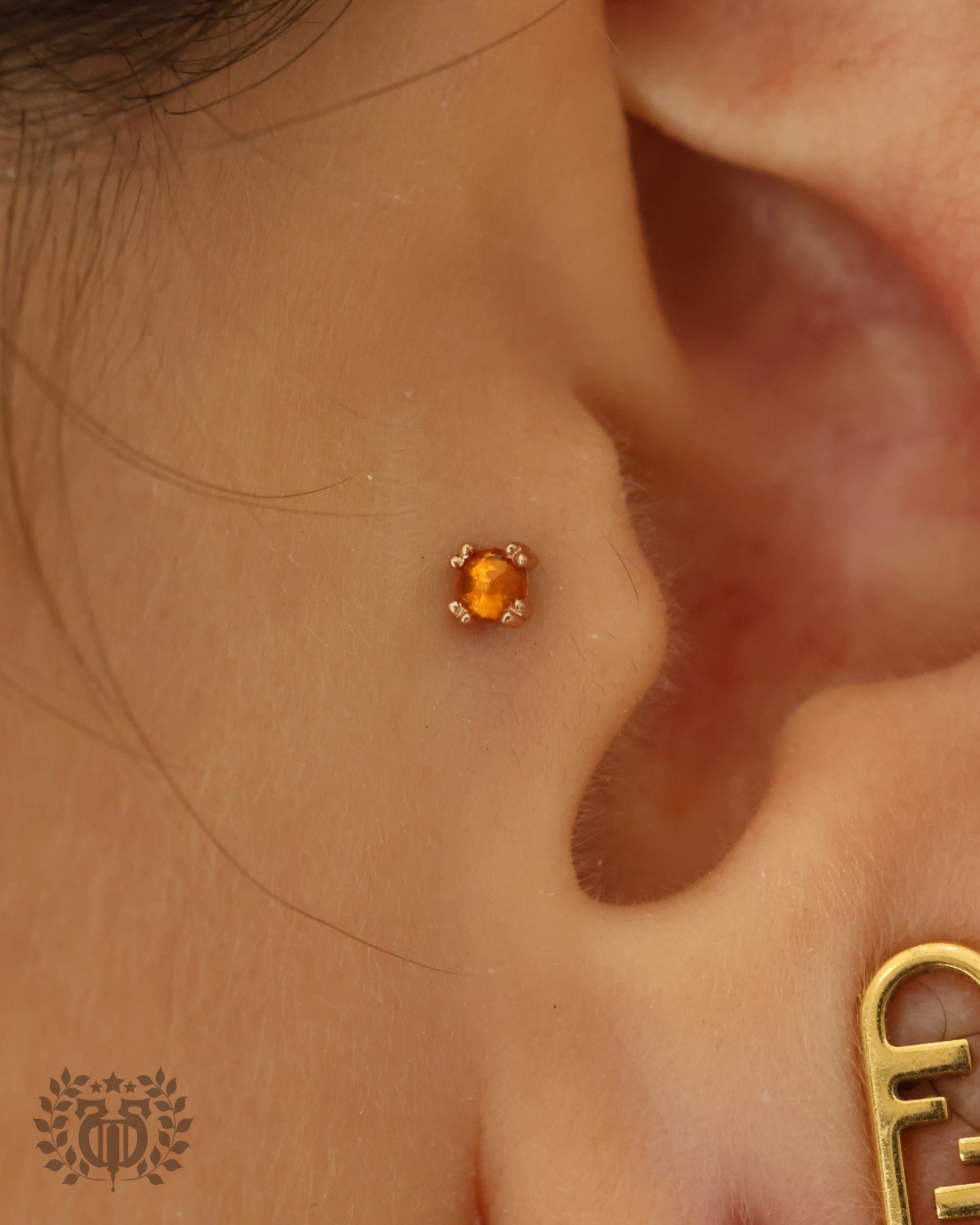 Tragus piercing at Apollo Studio Los Angeles