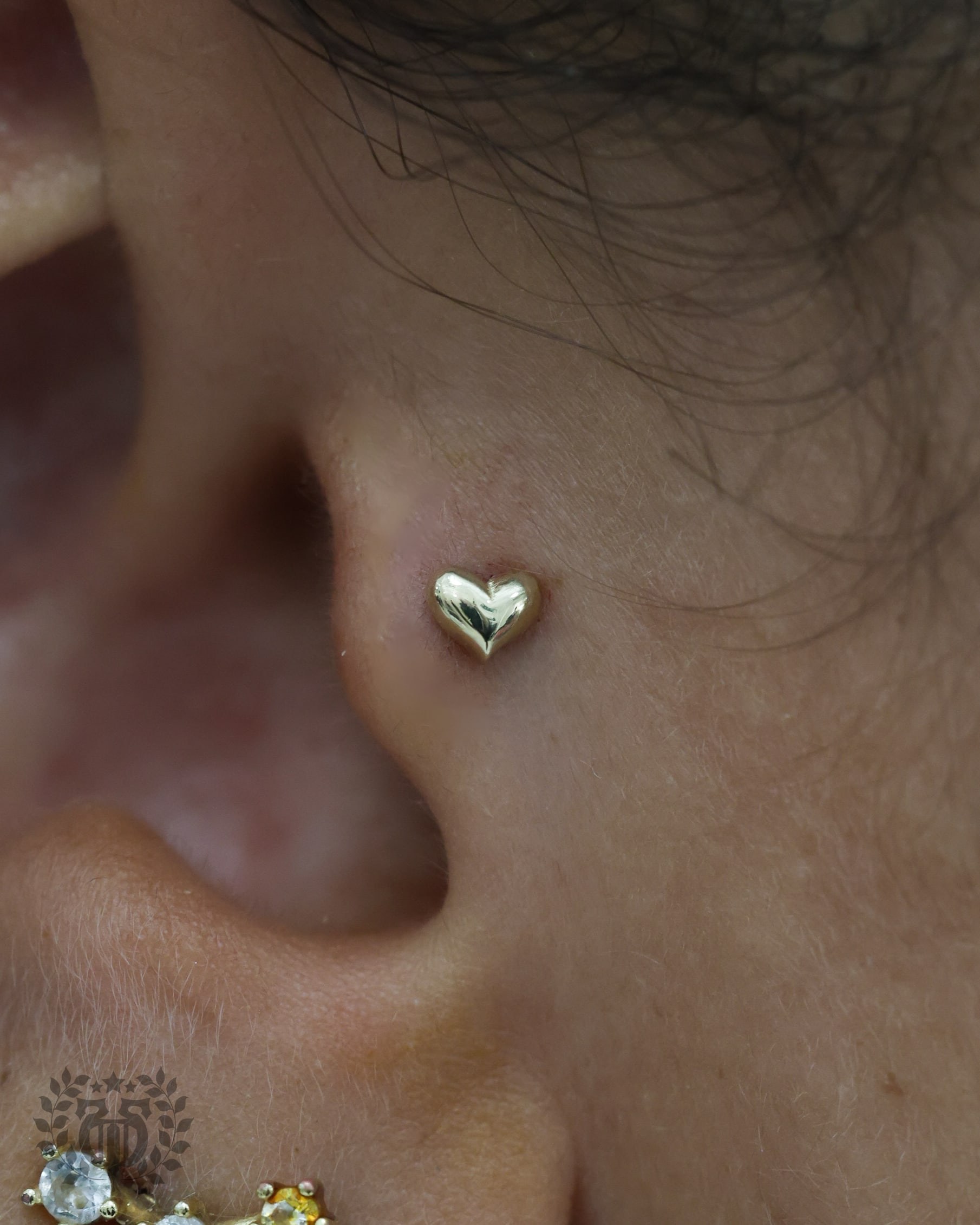 Tragus piercing at Apollo Studio Los Angeles