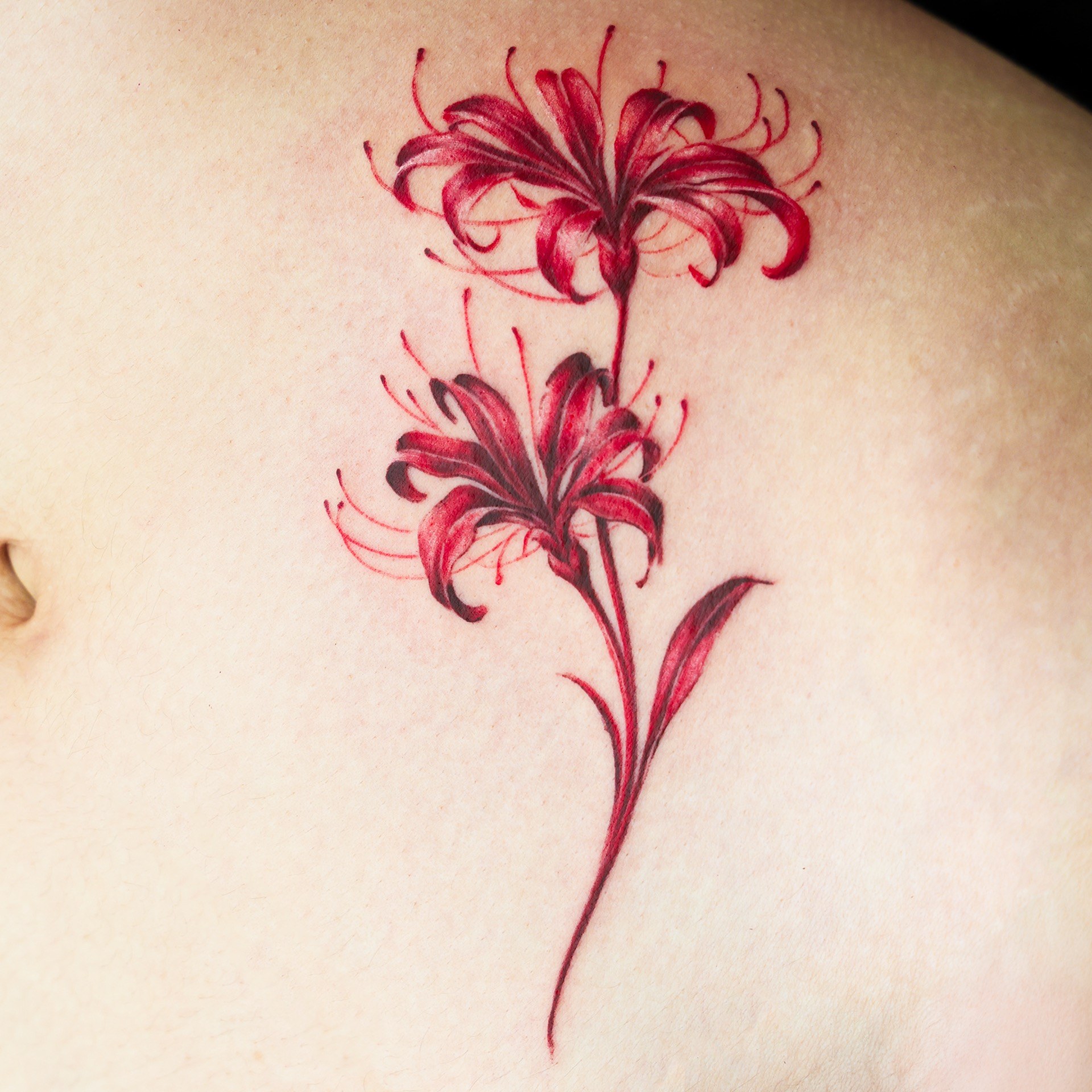 Watercolor red spider lily tattoo on the torso at Apollo Studio Los Angeles